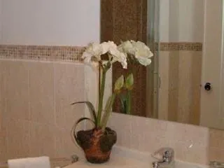My Monti Place